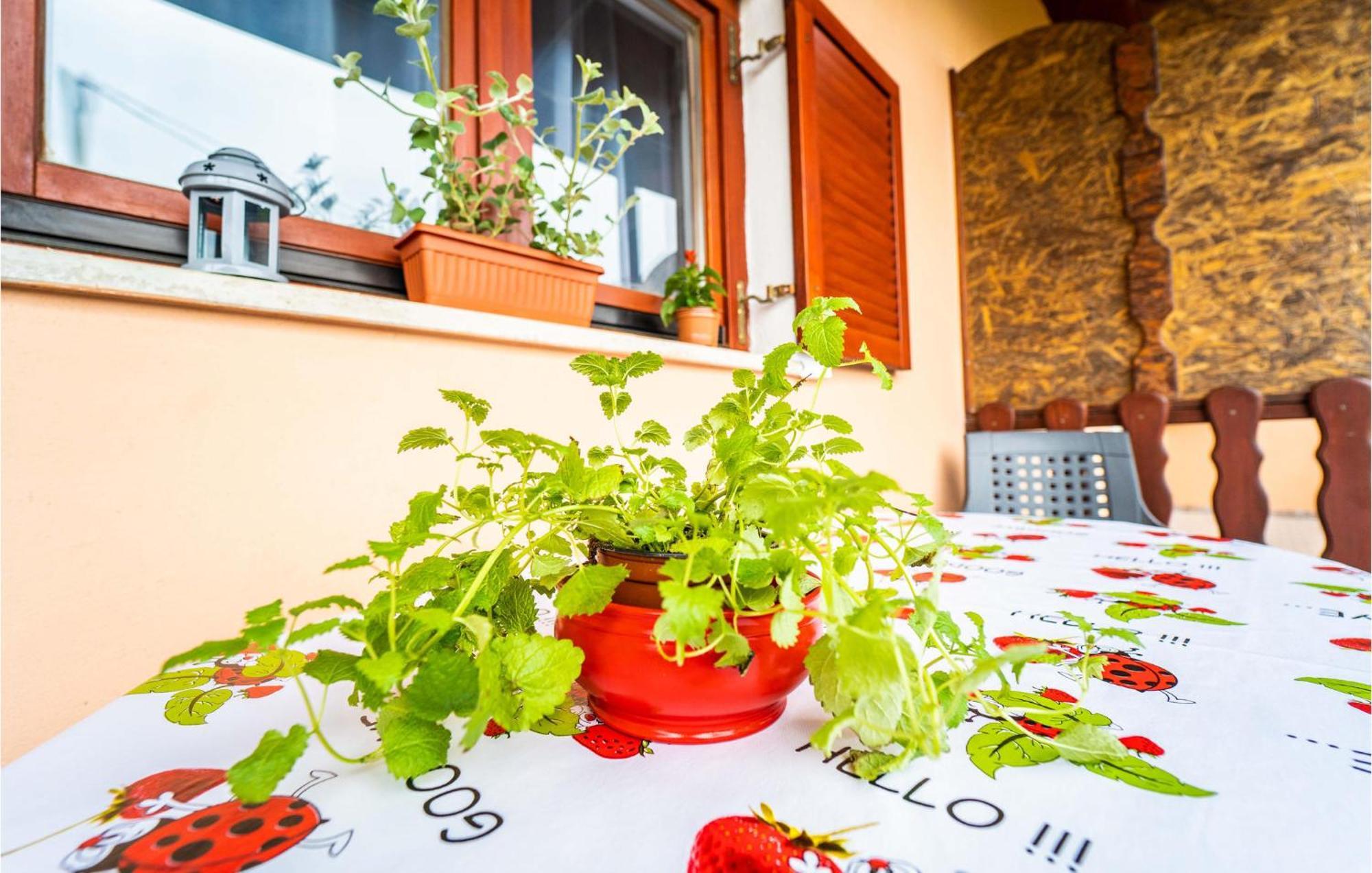 Amazing Apartment In Krnica With Kitchen Экстерьер фото